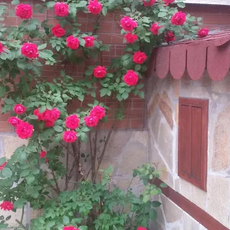 ゲストハウス Vesi's プロヴディフ