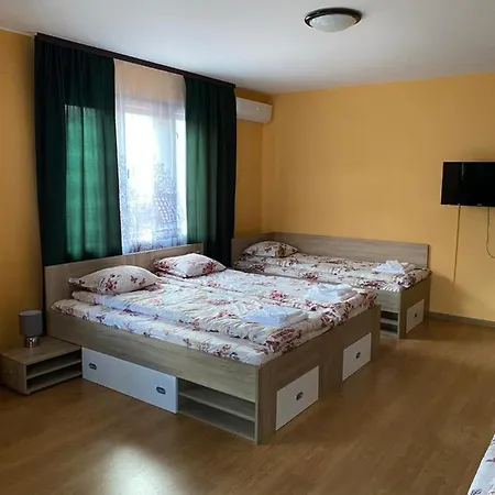 Vesi's ゲストハウス 3*