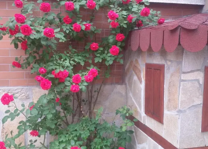 Гостьовий будинок Vesi's Пловдив